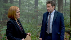 Секретные материалы: 11 сезон 8 серия