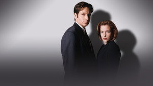 Секретные материалы