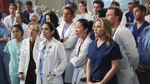 Анатомия страсти: 6x13