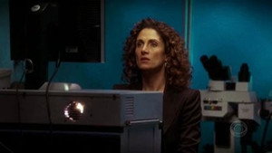 CSI: Место преступления Нью-Йорк: 1x17