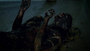 CSI: Место преступления Нью-Йорк: 9x2