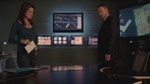 CSI: Место преступления Нью-Йорк: 9x7