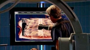 CSI: Место преступления Нью-Йорк: 4x8