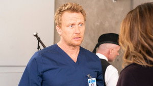 Анатомия страсти: 15 сезон 13 серия
