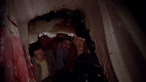 Во все тяжкие: 1 сезон 2 серия