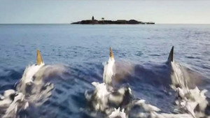 Глубокое синее море 3