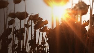 Техасская резня бензопилой