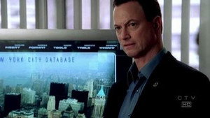 CSI: Место преступления Нью-Йорк: 2x20